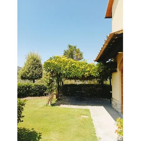 Mimosa * סן ג'ימיניאנו