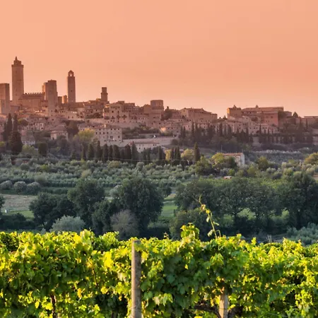 Mimosa Daire San Gimignano